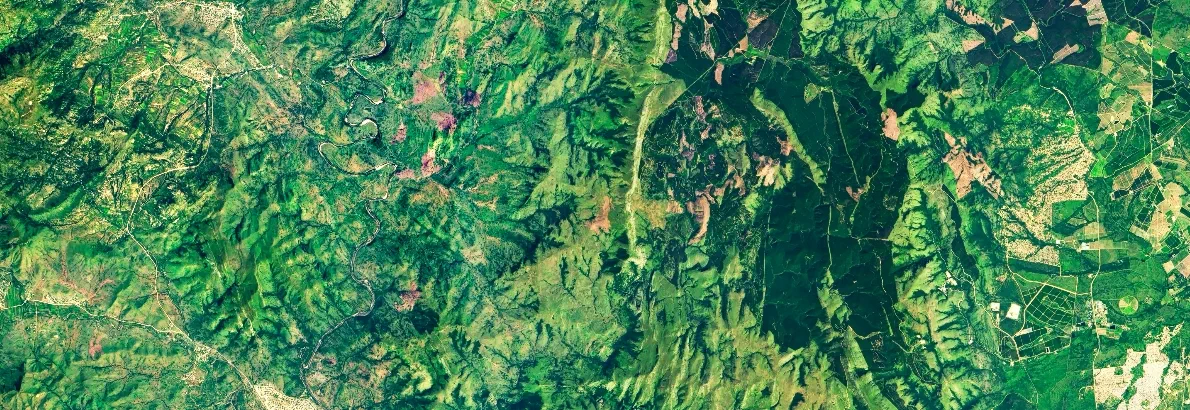 Satellite photo of forest or jungle, summer topography. Aerial view of green land as abstract map texture background. Nature pattern in satellite picture. Elements of this image furnished by NASA.